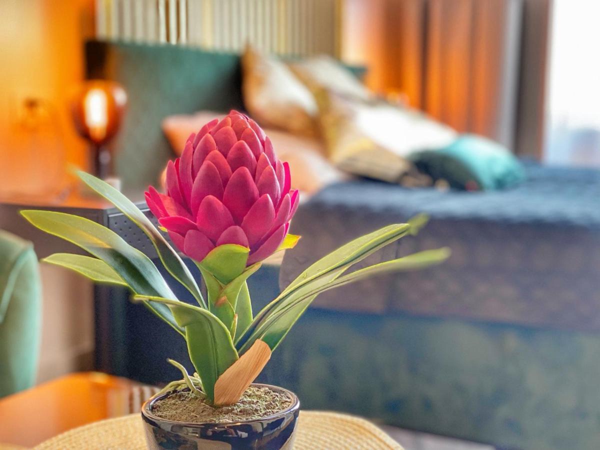 Apartament Czarny Z Jacuzzi 克拉科夫 外观 照片